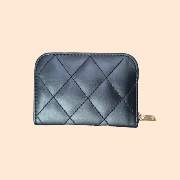 Mini Clutch-2
