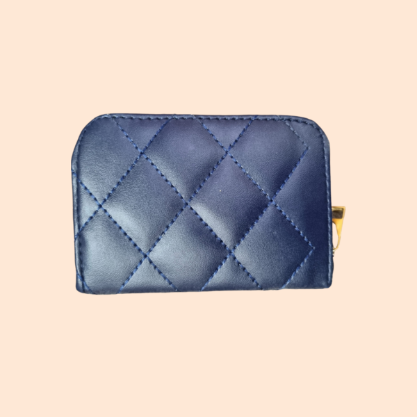 Mini Clutch-2